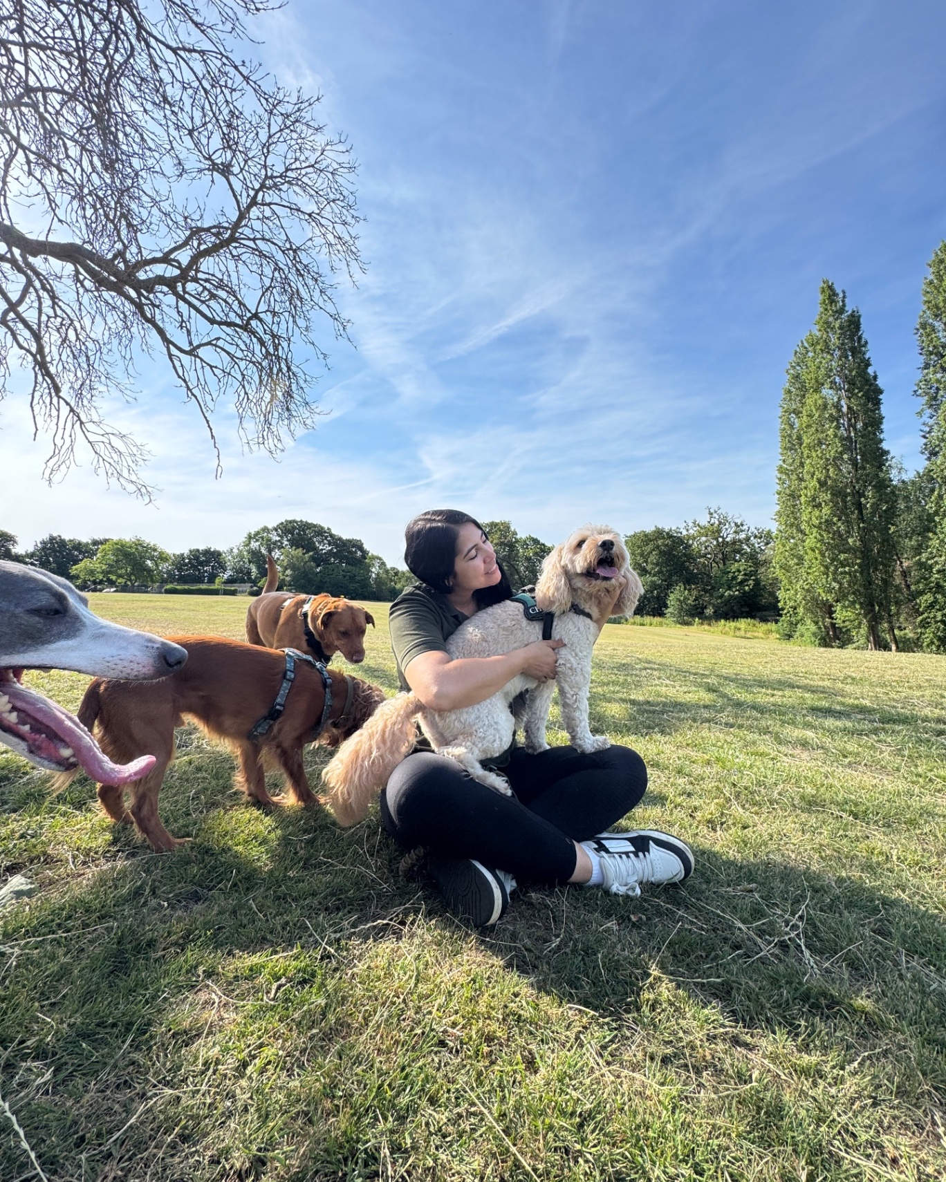 Cindy playing with a dog rolling happily on the grass